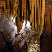 Phong Nha Cave And Botanic Garden Tour K