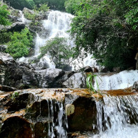 PhongnhaBotanicGarden3