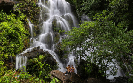 Phong Nha Botanic Garden