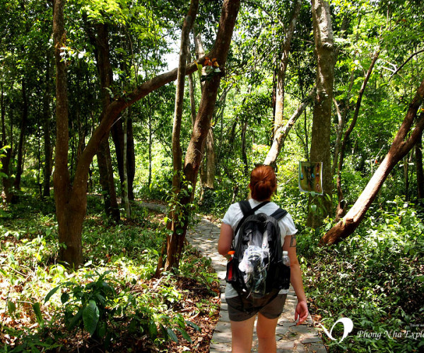Phong Nha Cave And Botanic Garden Tour B
