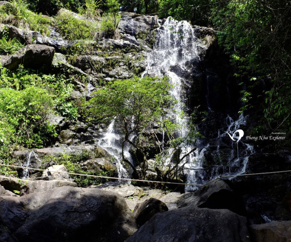 Phong Nha Cave And Botanic Garden Tour C