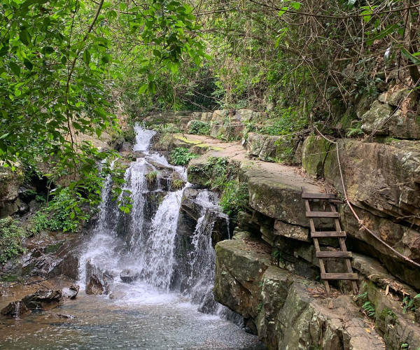 PhongnhaBotanicGarden