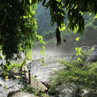 Suoi Mooc