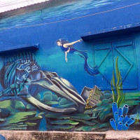 Tour Du Lich Quang Binh Lang Bich Hoa Canh Duong 7