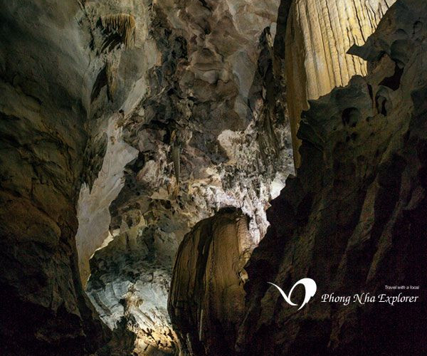 Tour Du Lich Dong Phong Nha Vuon Thuc Vat I