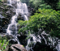 Tour Quảng Bình ghép 2 ngày 1 đêm: Phong Nha Kẻ Bàng – Thác Gió – Suối Bang Onsen