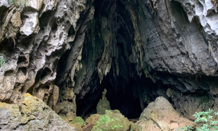 Tour Quảng Bình từ Đà Nẵng Ghép Đoàn 3 ngày 2 đêm: Phong Nha Kẻ Bàng – Sông Chày Hang Tối – Suối Nước Moọc